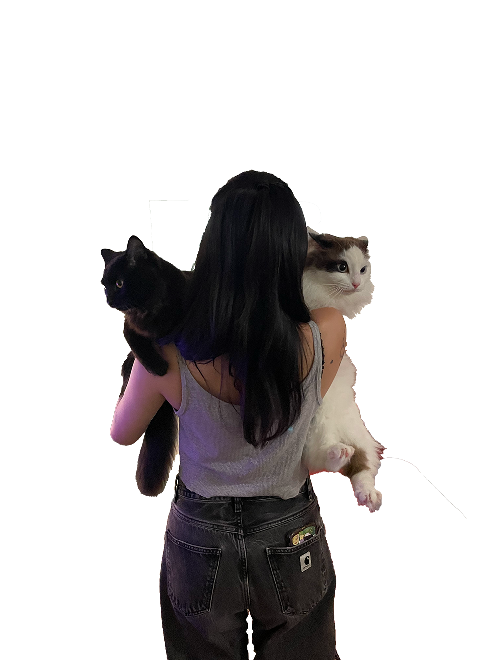 cat.png